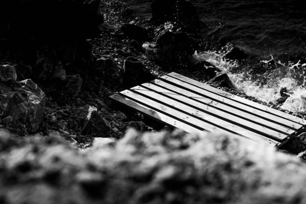 Zwart Wit Foto Van Een Prachtig Strand Met Veel Hout — Stockfoto