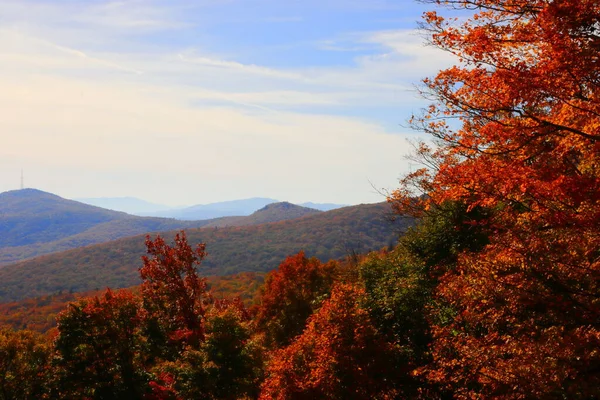 Bela Paisagem Outono Com Árvores Montanhas — Fotografia de Stock