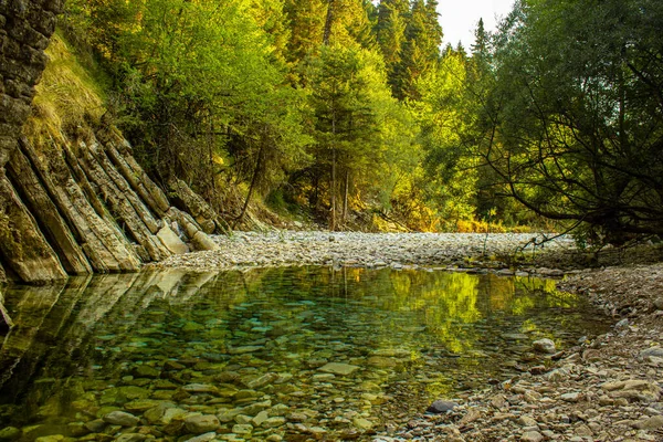 Beautiful Landscape River Forest — Stock Photo, Image