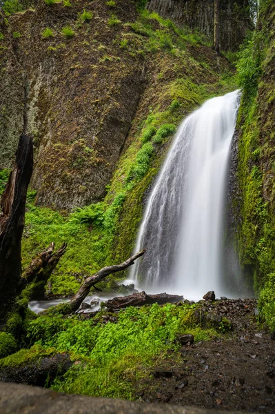 Waterfall Forest — Stock Photo, Image