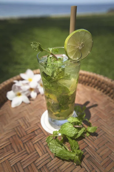 Mojito Cocktail Mit Zitrone Und Minze — Stockfoto