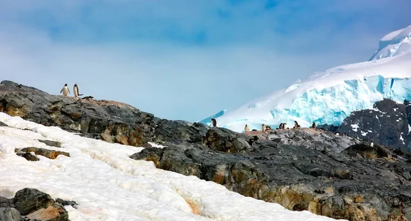 Bela Visão Uma Paisagem Montesa Contexto Céu Nublado Inverno — Fotografia de Stock