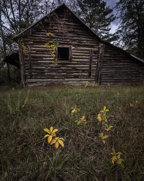 森の古い木造住宅 — ストック写真