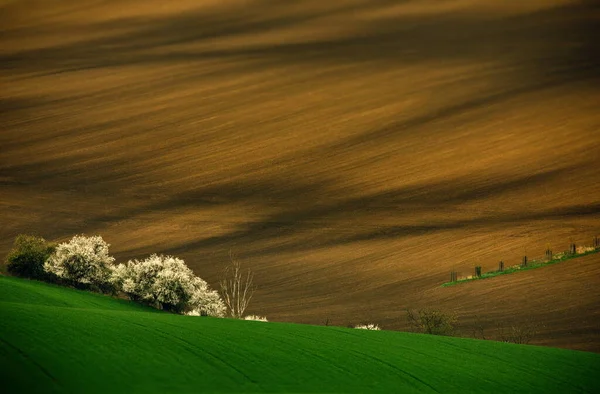 田舎の美しい景色 — ストック写真
