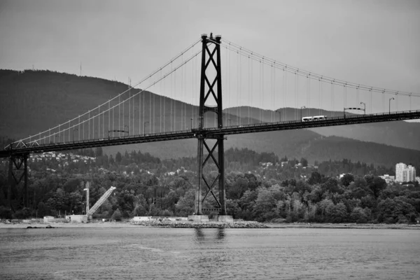 Foto Preto Branco Ponte Sobre Rio — Fotografia de Stock