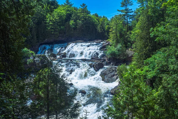 Waterfall Forest — Stock Photo, Image