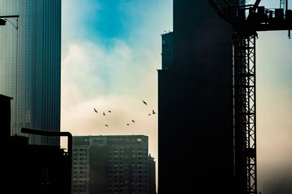 Chantier Construction Avec Grues Bâtiment — Photo