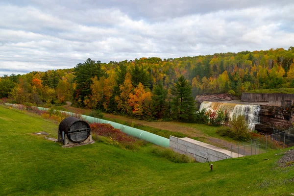 Vacker Utsikt Över Skogen Höstsäsongen — Stockfoto