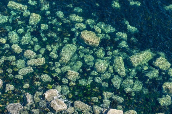 Acqua Mare Con Coralli Alghe — Foto Stock