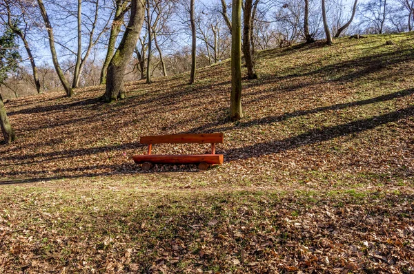 Een Houten Bank Het Park — Stockfoto