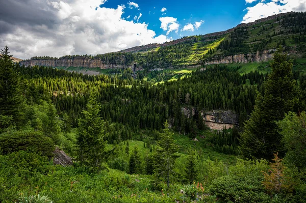Piękny Krajobraz Górami Lasem — Zdjęcie stockowe