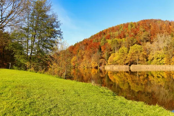 Piękny Jesienny Krajobraz Drzewami Zielonymi Liśćmi — Zdjęcie stockowe