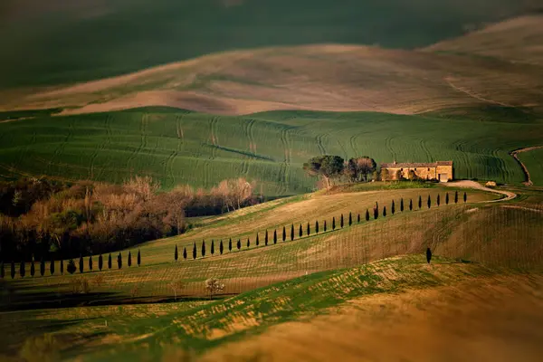Gyönyörű Táj Egy Tuscany Olaszország — Stock Fotó