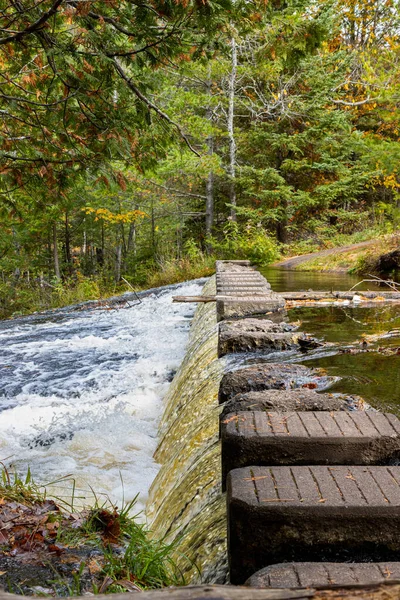 Beautiful View River Forest — Stock Photo, Image