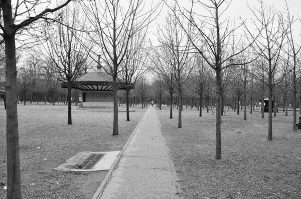 Czarno Białe Zdjęcie Parku — Zdjęcie stockowe