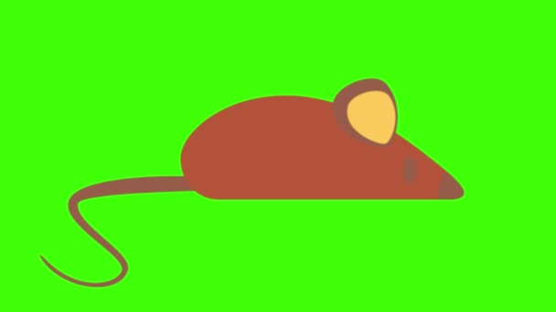 緑の背景に隔離されたマウス — ストック動画
