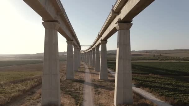 Imagens Uma Paisagem Com Uma Grande Ponte — Vídeo de Stock