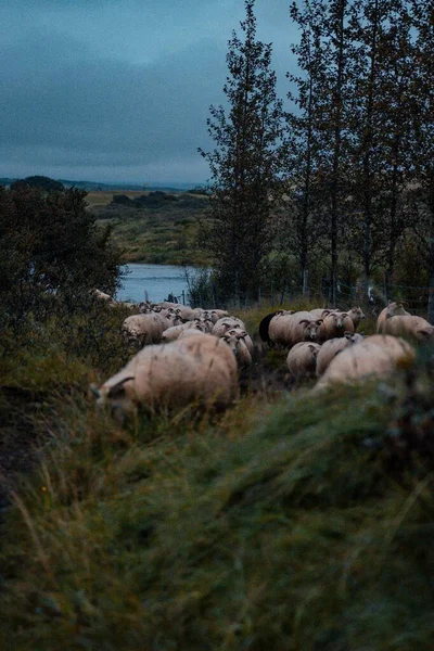 Beau Paysage Avec Une Chaîne Montagnes — Photo