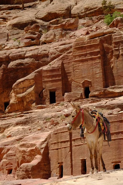 Petra Ürdün Şubat 2018 Kutsal Kalp Tanrılarının Antik Şehrini Ziyaret — Stok fotoğraf