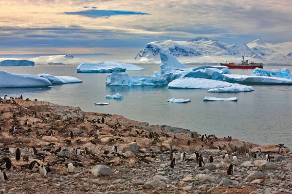 Beautiful View Antarctic Sea — Stock Photo, Image