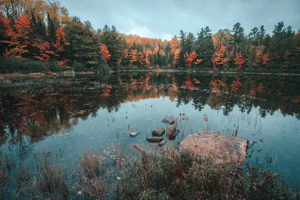 Höst Landskap Med Reflektion Träd Och Reflektioner Vattnet — Stockfoto