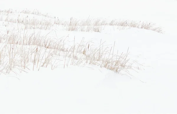 Beau Paysage Hivernal Avec Neige — Photo