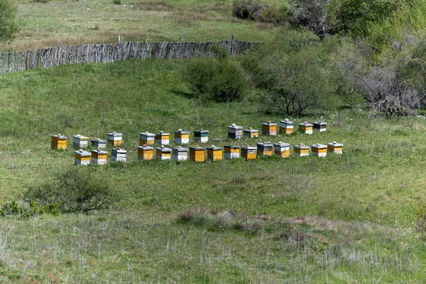 Bee Hives Mountain Patagonia Argentina — Foto de Stock