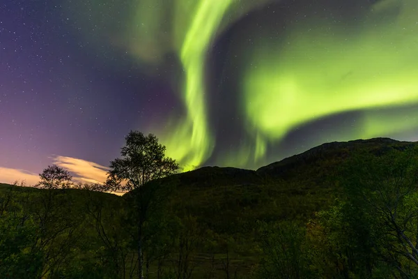 Noorderlicht Aan Nachtelijke Hemel — Stockfoto