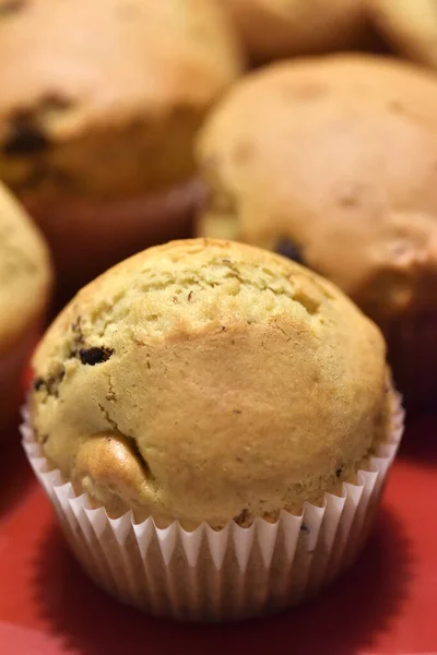 Hausgemachte Muffins Mit Schokolade Und Nüssen — Stockfoto