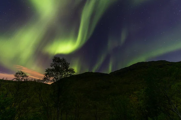 Noorderlicht Noorderlicht Borealis Noordoostelijke Richting — Stockfoto