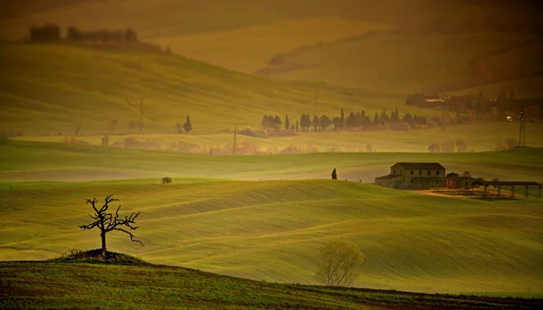 Beau Paysage Avec Champ Herbe Verte Ciel Nuageux — Photo