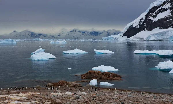 Bella Vista Sul Mare Antartico — Foto Stock