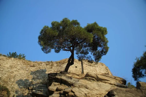 Una Hermosa Vista Las Montañas Norte Israel —  Fotos de Stock