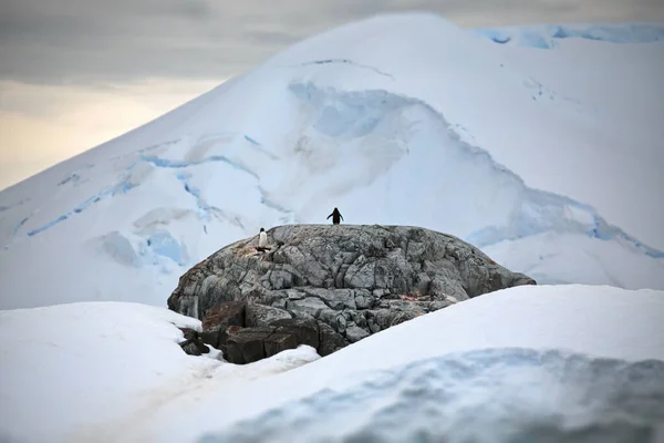 Homme Avec Sac Dos Sommet Montagne — Photo