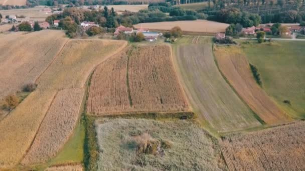 Vista Aérea Del Campo Verano — Vídeo de stock