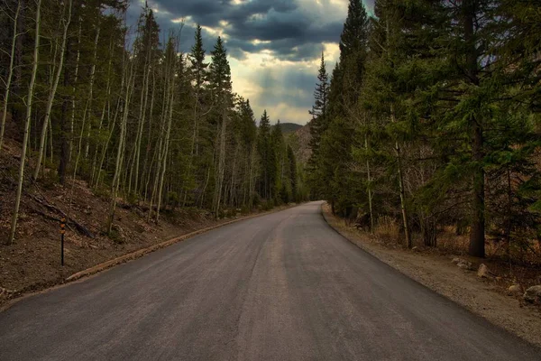 Väg Skogen — Stockfoto