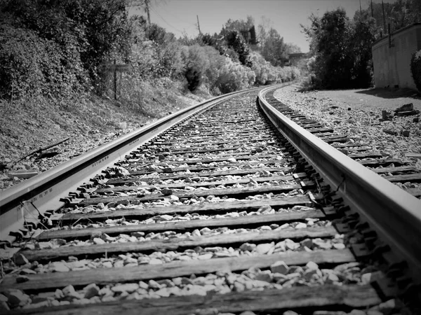 Railway Tracks Forest — Stock Photo, Image