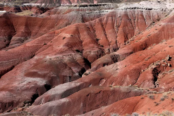 犹他沙漠中的红色岩层 — 图库照片