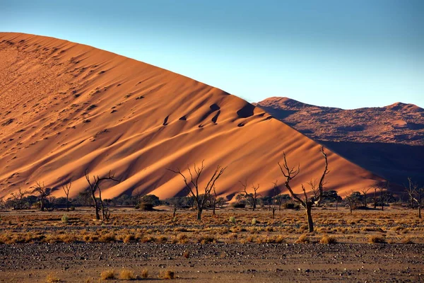 Bela Paisagem Mar Morto Deserto Namib Sossusvlei Namibia — Fotografia de Stock