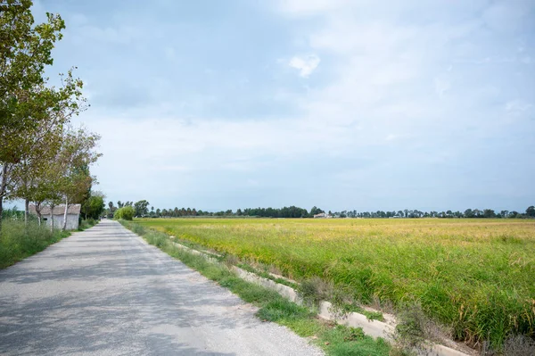 田舎の道路は — ストック写真