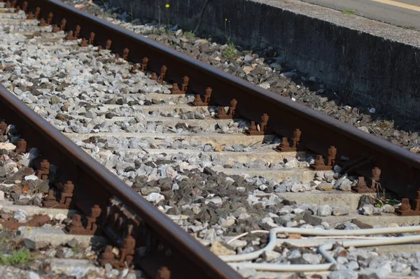 Binari Ferroviari Sulla Strada — Foto Stock