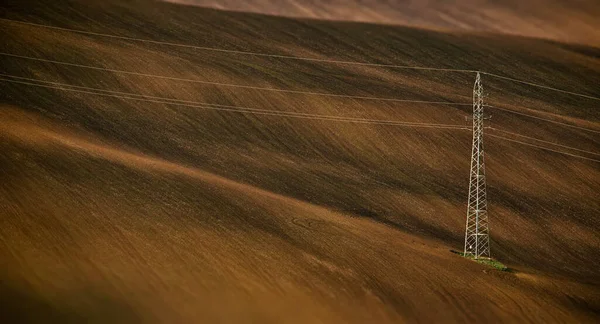 Widok Lotu Ptaka Pole Pszenicy — Zdjęcie stockowe