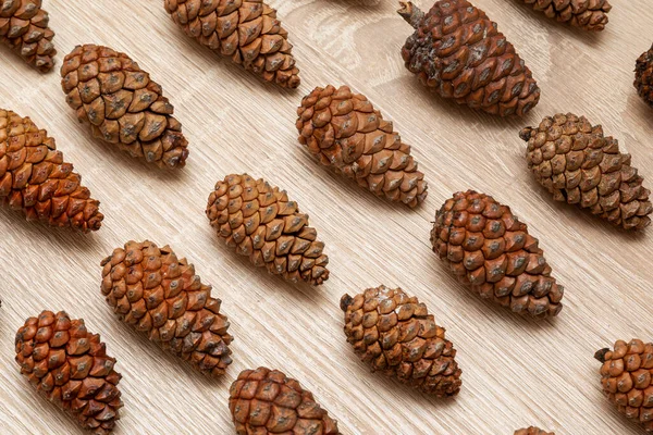 Pine Cones Background — Stock Photo, Image