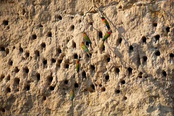 Стіна Скелі Фон — стокове фото