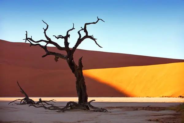 Prachtige Zonsondergang Woestijn — Stockfoto