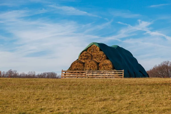 Houten Kruis Het Veld — Stockfoto