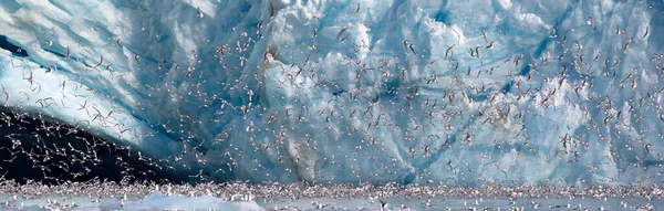 Gotas Água Congelada Vidro — Fotografia de Stock