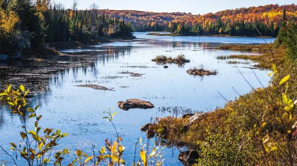 Paysage Automne Avec Rivière Forêt — Photo