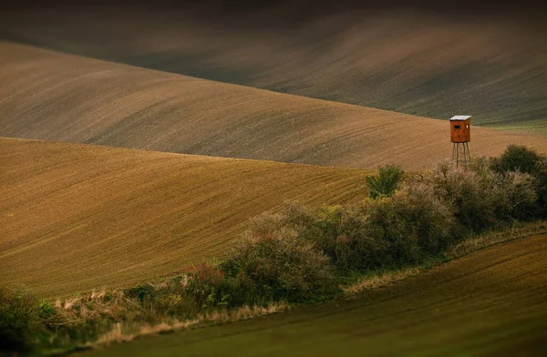 Antik Kilátás Vidékre Tuscany Olaszország — Stock Fotó