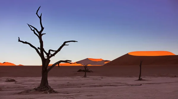 Schöner Sonnenuntergang Der Wüste — Stockfoto
